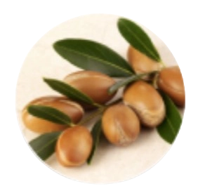 Argania Spinosa Extract