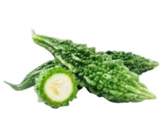 Bitter Melon