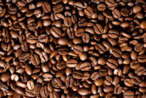 Coffea Arabica