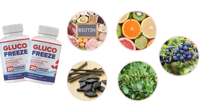 Gluco Freeze Ingredients