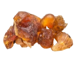 Guggul
