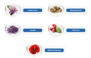 Nervovive Ingredients
