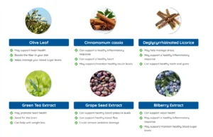 Neuro Surge Ingredients
